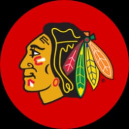 Blackhawks logo